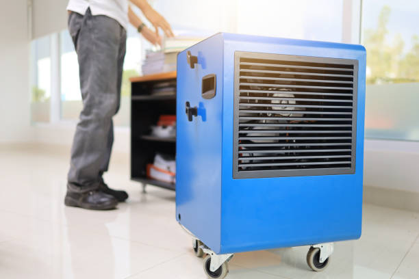 Biohazard Mold Removal in Wilton, CA